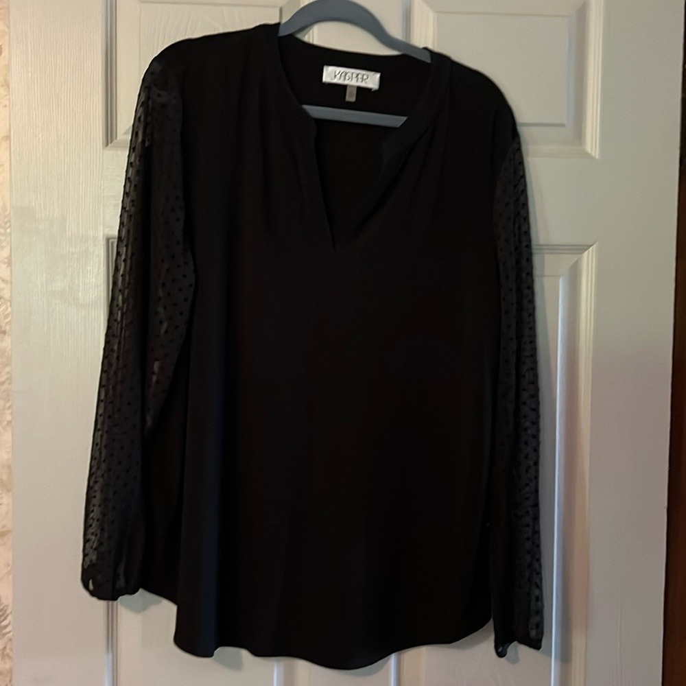 Long sleeve dotted shear sleeve v neckline Blouse